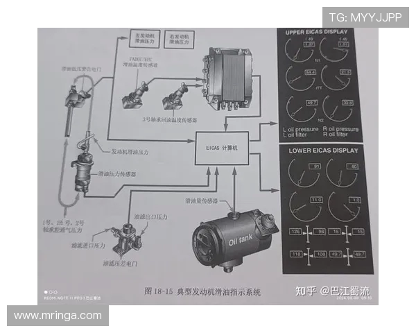 航空发动机滑油滤芯金属末理化分析