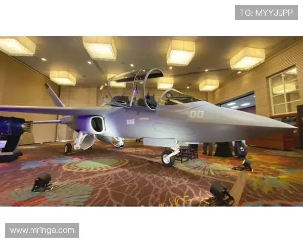 战斗机机身复合材料的电屏蔽 战斗机机身复合材料的电屏蔽