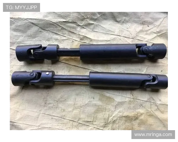 直升机尾桨传动轴的柔性联轴器